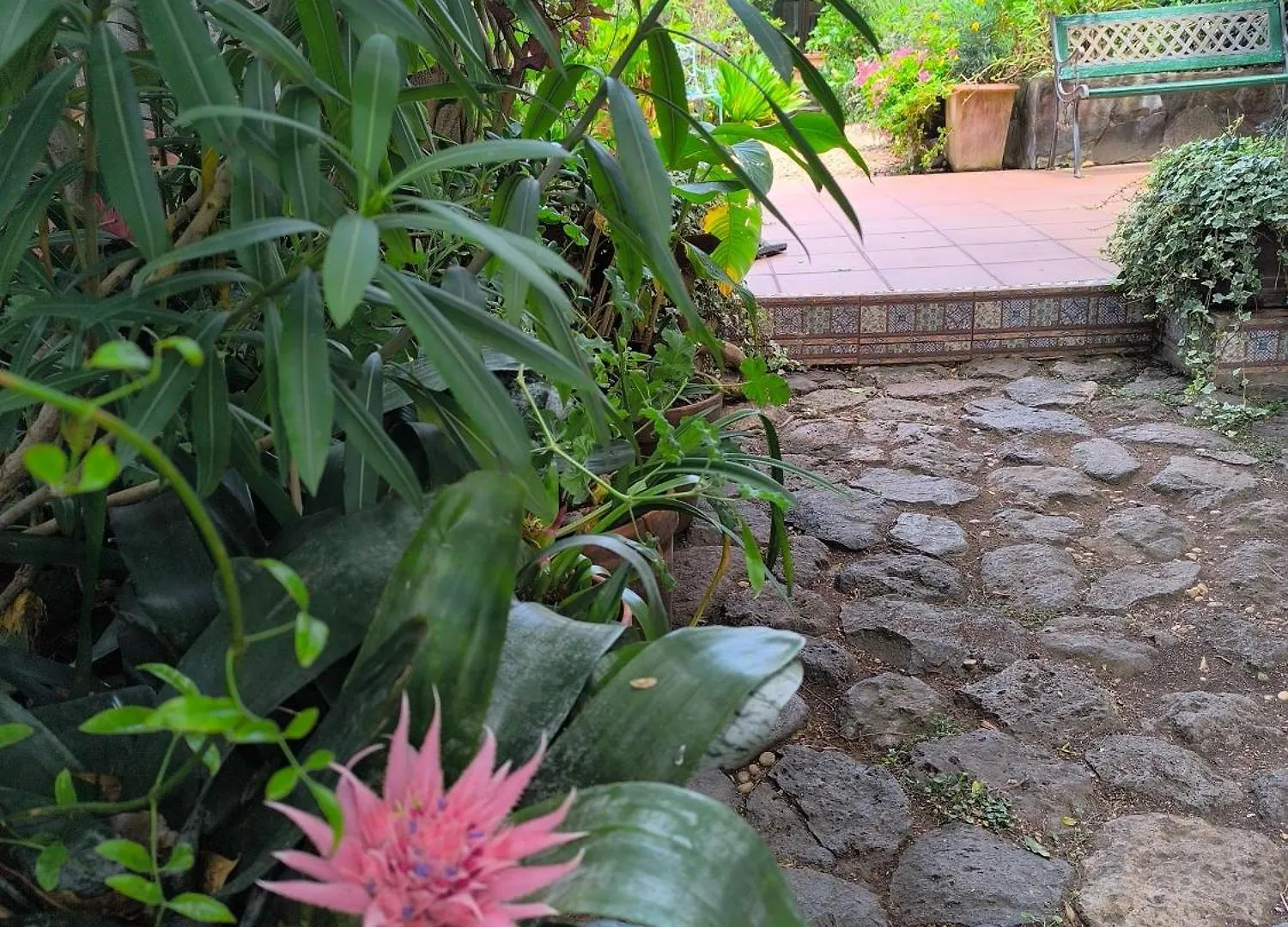 Casa Flora Loft Studio サウサル スペイン